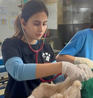 सानिया की कंपनी पशुओं के लिए सेवाएं देती है।