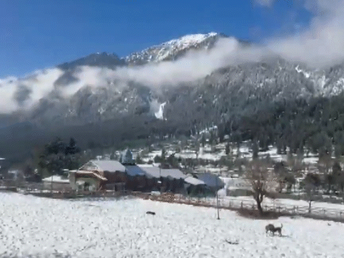जम्मू-कश्मीर के पहलगाम में बर्फबारी होने से सफेद चादर छा गई।