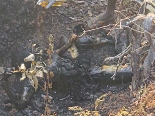 पेट्रोल से जलने के बाद शव बुरी तरह से प्रभावित हुआ। जिससे जांच में फॉरेंसिक टीम को दिक्कतें आई।