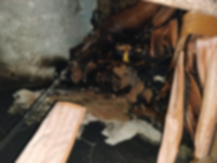 बाथरूम के अंदर माचिस की तीली भी मिली है। पुलिस पूरे मामले की जांच कर रही है।