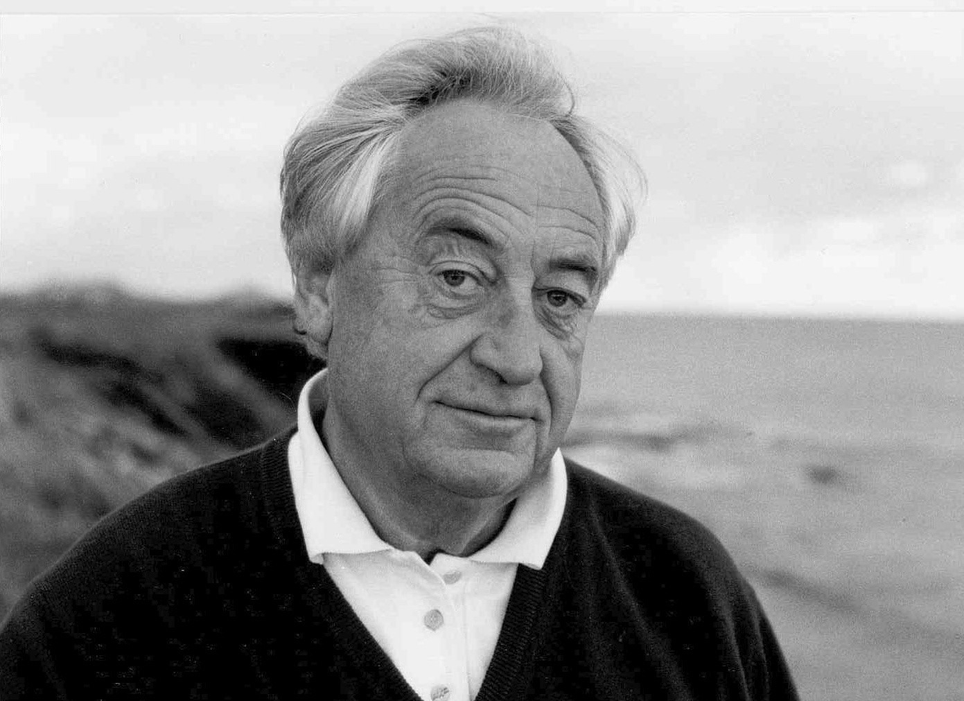 1950 और 1960 के दशक में नॉटेबूम ने पत्रकार के तौर पर काम किया।