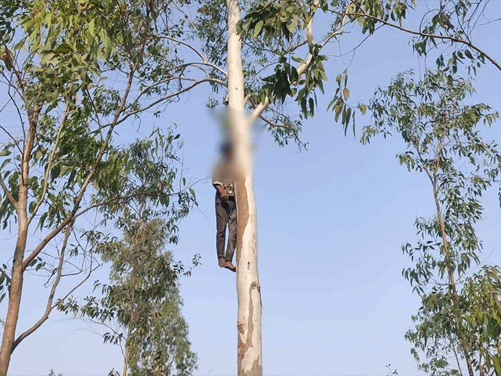 युवती घर में तो युवक ने पेड़ पर फंदा बनाकर फांसी लगाई। - Dainik Bhaskar