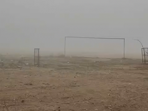 छत्तीसगढ़ के सरगुजा में कोहरा छाया रहा।