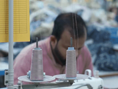 राहुल बोले- अगर हम अमेरिकी कपास मंगवाते हैं तो हमारे किसान बर्बाद हो जाएंगे। अगर नहीं मंगवाते, तो हमारा टेक्सटाइल उद्योग तबाह हो जाएगा।