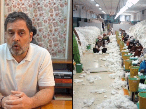 राहुल ने कहा- बांग्लादेश यह संकेत दे रहा है कि वह भारत से कपास आयात भी कम या बंद कर सकता है।