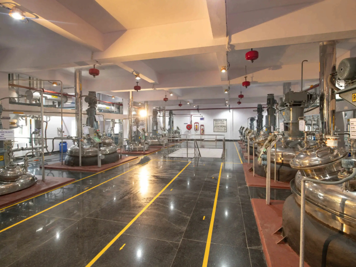 विरूपाक्ष ऑर्गेनिक्स मुख्य रूप से एक्टिव फार्मास्युटिकल इंग्रेडिएंट्स (API) और इंटरमीडिएट्स बनाती है।