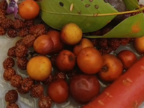 सीकर में महाशिवरात्रि पर घरों में भी पार्थिव शिवलिंग को भोग लगाकर पूजा-अर्चना की जा रही है।