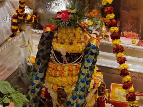 बाबा विश्वनाथ का दूल्हे जैसा श्रृंगार किया गया।। मोरपंख की मामला पहनाई गई है।