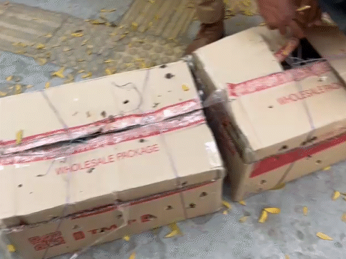 कबूतरों को दौड़ और फाइट के लिए मकराना लेकर जा रहे थे।