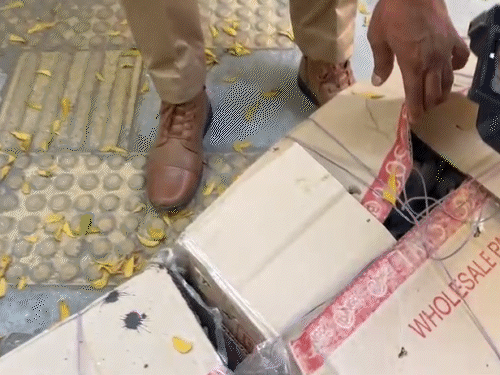 तस्करों ने 2 कार्टून में 42 सफेद कबूतर भर रखे थे।