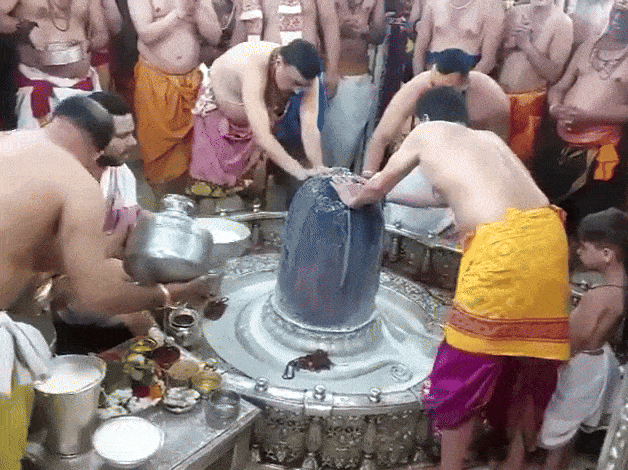 महाशिवरात्रि के मौके पर उज्जैन के महाकाल मंदिर में विशेष पूजा-अर्चना की गई।