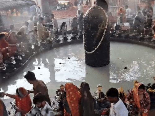 कोटा के थेकड़ा में 525 शिवलिंग शिवपुरी धाम में सुबह से ही श्रद्धालुओं की भारी भीड़ है। यहां सभी शिवलिंग स्वास्तिक आकार में स्थापित हैं।