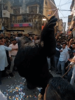 शिव बारात में भालू का रूप धारण कर एक कलाकार शामिल।