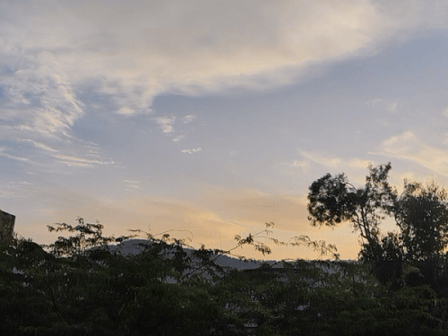 17 फरवरी वेस्टर्न डिस्टर्बेंस के चलते सवाई माधोपुर में तापमान मामूली गिरावट होने की संभावना है।