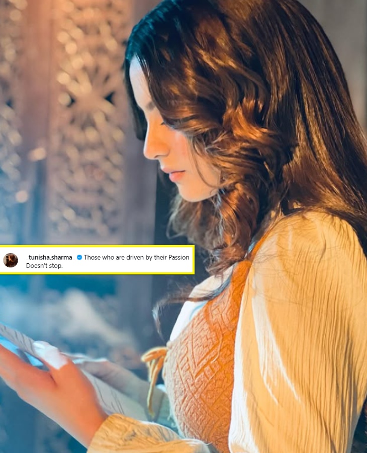 तुनिषा शर्मा की आखिरी पोस्ट।