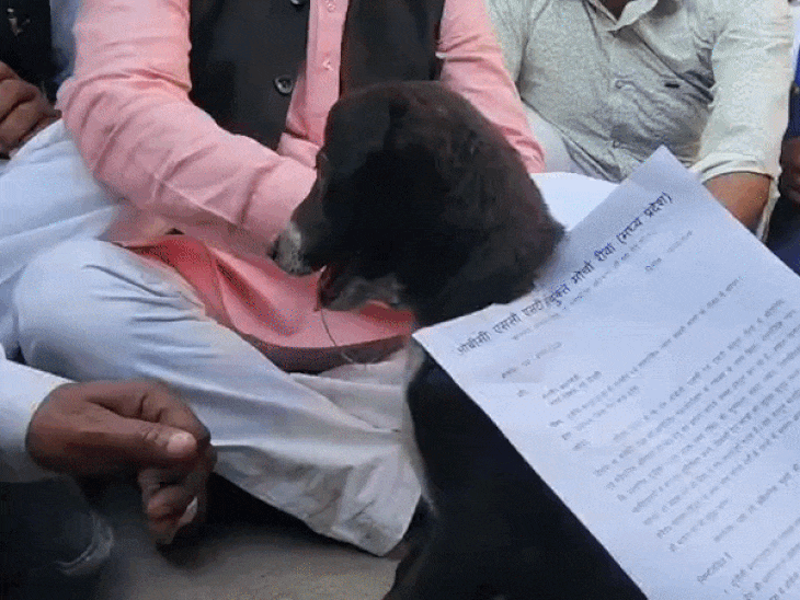 प्रदर्शनकारी सड़क पर बैठे हुए थे, इस वजह से आवागमन प्रभावित हुआ।