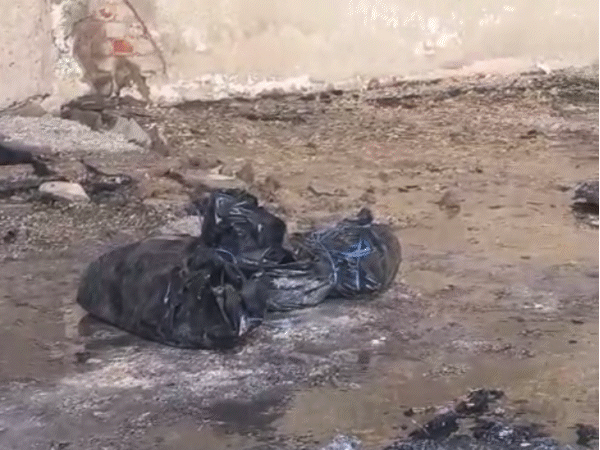 मजदूरों के शव बुरी तरह से जल गए थे। इधर-उधर बिखरे बॉडी पाट्‌र्स को पॉलीथीन में इकट्‌ठा किया गया।