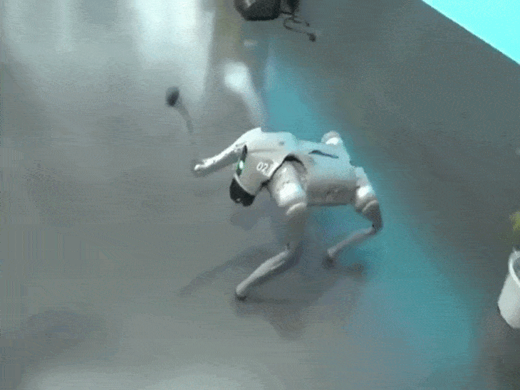 चीन की कंपनी यूनिट्री ने इस रोबोटिकक डॉग को बनाया है, लेकिन यूनिवर्सिटी ने इसे अपना इंवेंशन बताया था।