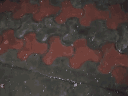 तस्वीर राजस्थान की है। वहां ओले के साथ बारिश हुई है।