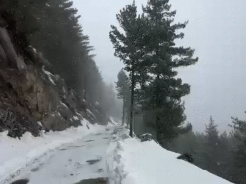 उत्तराखंड के पिथौरागढ़ के धारचूला में गुरुवार को बर्फबारी हुई।