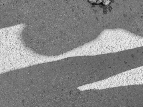 महिला का दिमाग बाहर निकल गया।