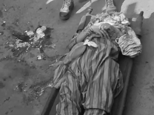 हादसे के बाद सड़क पर मांस के टुकड़े पड़े रहे।