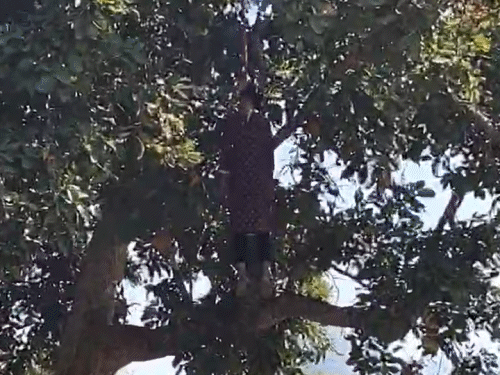 गीता महंत 9वीं की छात्रा थी। ने गांव के तालाब के पास एक पेड़ से फांसी लगा ली।