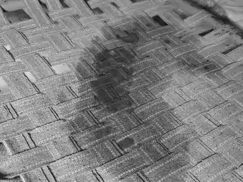 महिला और दो बच्चों की हत्या के बाद कमरे में फैला खून।