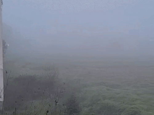 फाल्गुन माह में छाया कोहरा मौसम एक्सपर्ट को भी हैरान कर रहा है। आज कोटपूतली-बहरोड़ जिले के ग्रामीण इलाकों में सुबह खेत कोहरे में छुपे रहे।