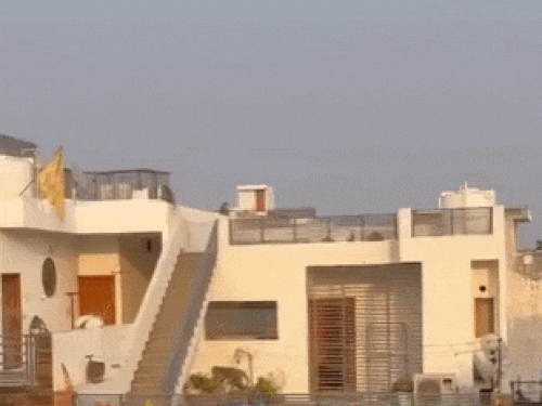 अब दूसरे पिल्ले को लेकर छत पर बैठा बंदर।