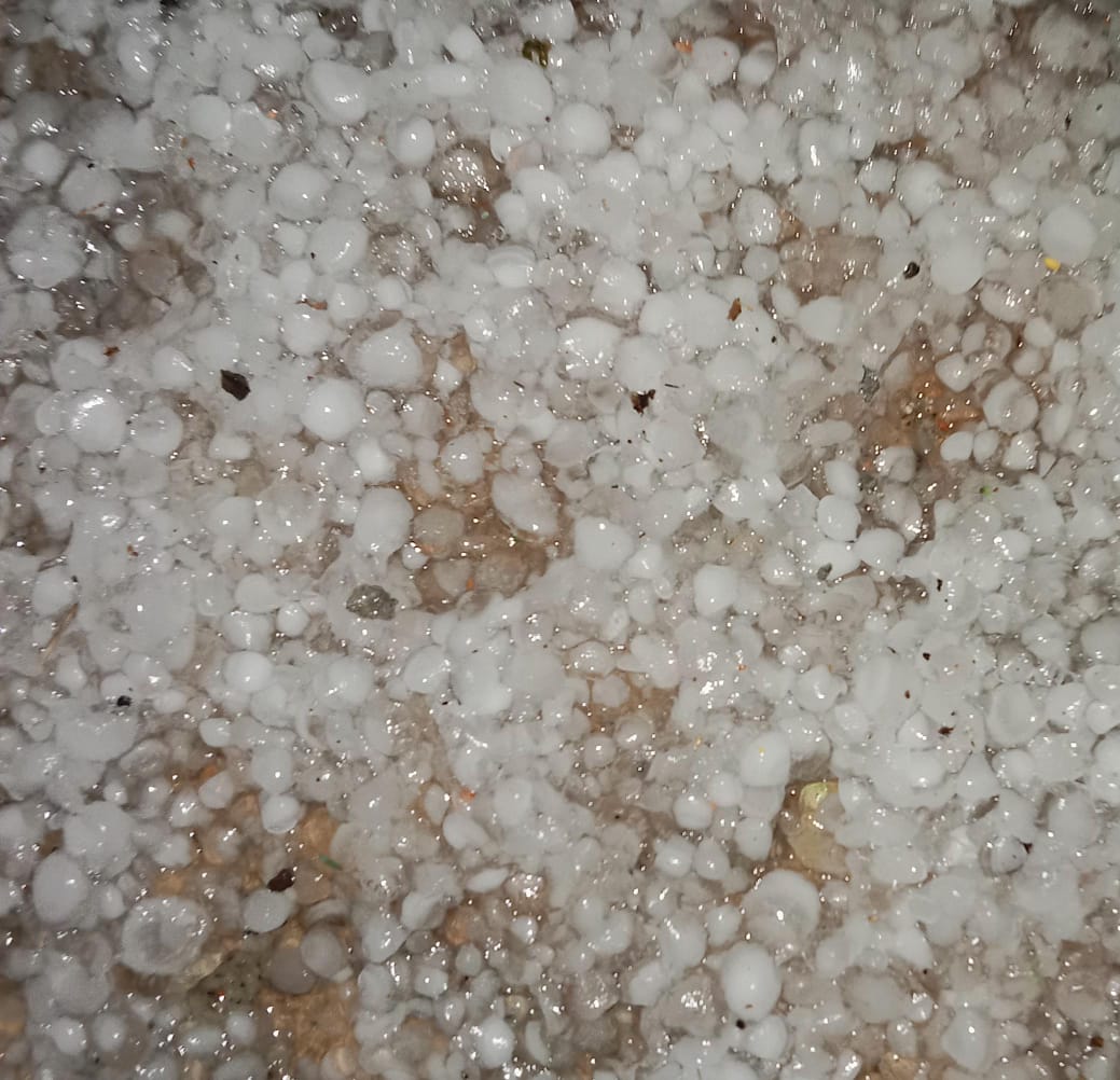 उज्जैन जिले के कई गांवों में बारिश हुई। इसके साथ ओले भी गिरे।