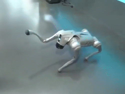 यूनिवर्सिटी की एक प्रोफेसर ने दूरदर्शन को दिए इंटरव्यू में दावा किया था कि रोबोट को उनके कैंपस में तैयार किया गया है।