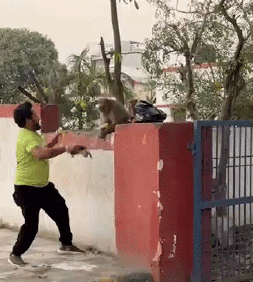 केले के बहाने पिल्ले को रेस्क्यू करते पवन शर्मा।