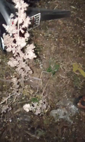 कार और बाइक भिड़ंत में दोनों वाहन बुरी तरह क्षतिग्रस्त हो गए।