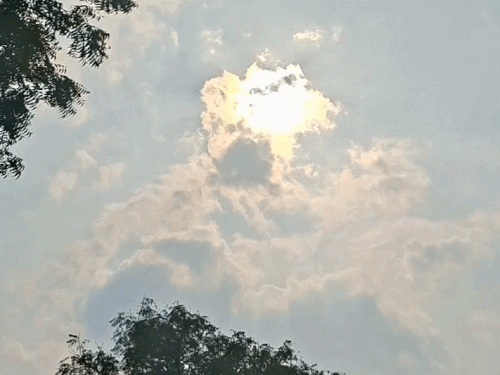 श्रीगंगानगर जिले में पिछले कई दिनों से मौसम ड्राई बना हुआ है।