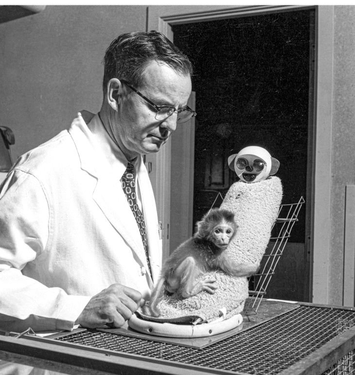 अमेरिकी साइंटिस्ट हैरी हार्लो के मशहूर 'मंकी एक्सपेरिमेंट' की तस्वीरें