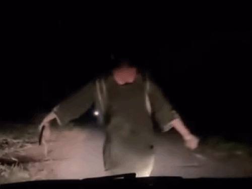 वायरल वीडियो में तलवार लेकर लुटेरों को ललकारती NRI महिला।