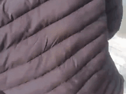 तीनों लापता युवकों की तलाश के लिए सर्च ऑपरेशन शुरू किया गया है।