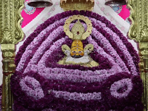 आज श्याम बाबा का गुलाबी रंग के फूलों से विशेष श्रृंगार किया गया है।