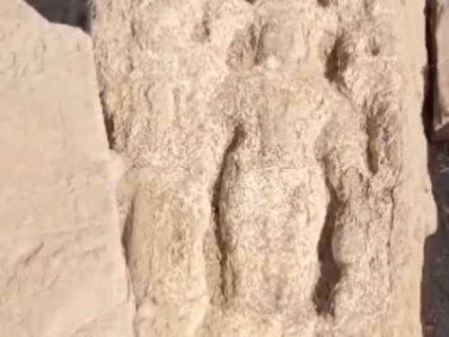 यहां कई मूर्तियां मिली हैं। इनमें गणेश जी प्रतिमा स्पष्ट दिखाई दे रही है। इसके अलावा विष्णु भगवान और सिंहब्याल की प्रतिमाएं मिली हैं।