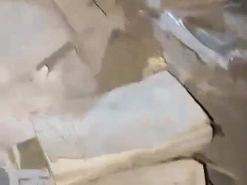 अफगानिस्तान के पूर्वी इलाकों को निशाना बनाया गया।