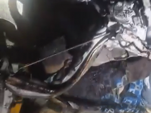 टक्कर के बाद पुलिस की बोलेरो गाड़ी