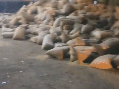 हादसे के बाद धान के बोरे सड़क पर बिखर गए।