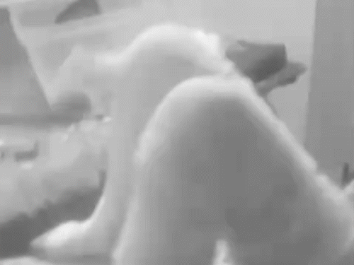 Entire body of factory worker was burnt, currently undergoing treatment in the hospital.