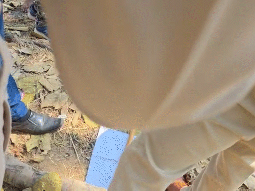 घटना के बाद पुलिस ने मौके पर पहुंचकर जांच की।