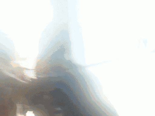 पंजाब-चंडीगढ़ अपडेट्स:  सुरक्षाकर्मी ने खुद को गोली मारी; पिलर से बांधकर युवक की पिटाई; पिता का मर्डर – Punjab News