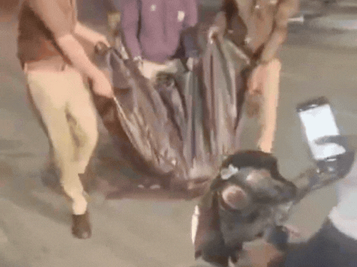 हादसे के बाद महिला के शव के टुकड़ों को हाईवे से उठाकर ले जाते पुलिसकर्मी। - LRN 24