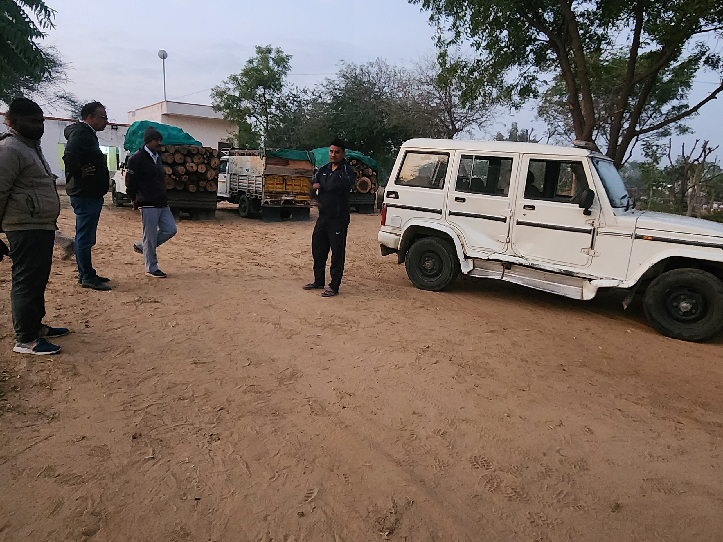 चिड़ावा में हरी खेजड़ी की लकड़ियों से भरी पिकअप को जब्त कर लिया गया है।