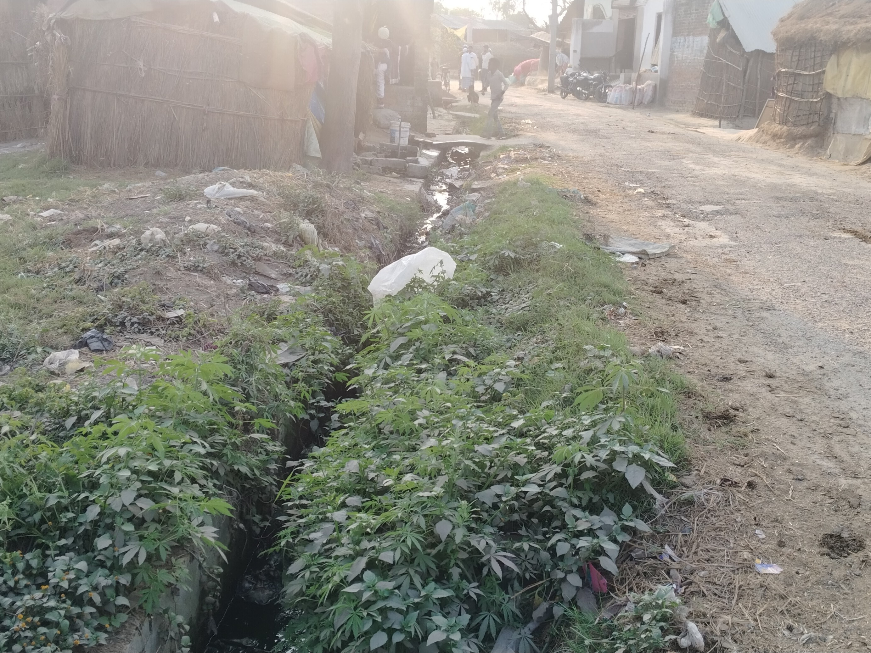 Saphai Barabanki Villages Gripped by Saphai Crisis; Pradhan, Officials Face ...
