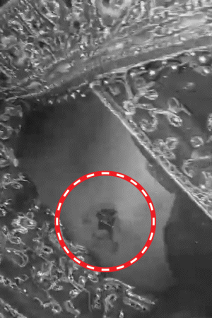 Love Triangle Horror